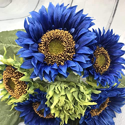 Sonnenblume Sunbelievable Die 15 besten Produkte im Vergleich