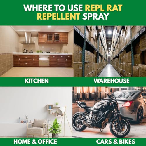 Image of Repl Rat Repellent Spray For Car & Home -250ml | 100% Natural Oils Based Rat Spray For Car Engine And Interior | Not Rat Killer But Rat Repellent For Home | 30 Days Long Bike & Car Rat Protector