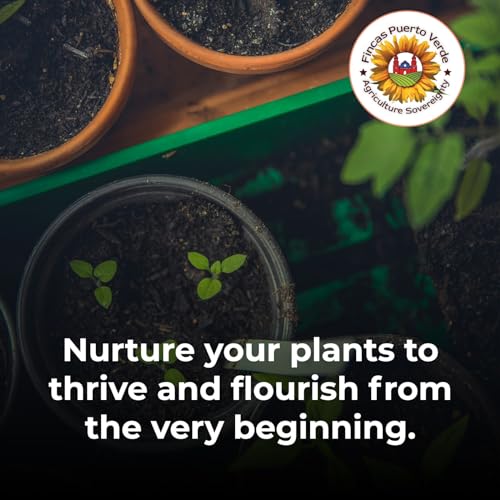 Fincas Puerto Verde 659459431400 Liquid Gold - Organic 100% Vegan Non-Gmo Liquid Compost - Soil Fertilizer/Biostimulant, Enhancer & Conditioner & Root Booster With Fulvic Humic Acid For Vegan Gardeners thumb #5