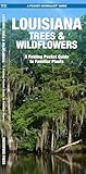Louisiana Trees & Wildflowers: A Folding Pocket Guide to Familiar Plants (Wildlife and Nature Identification)