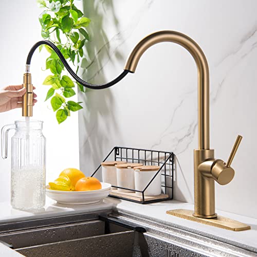Gold Kitchen Sink Faucets Pull Down 2 Mode Sprayer With Deck Plate, Brushed Brass Gold #TOP2
