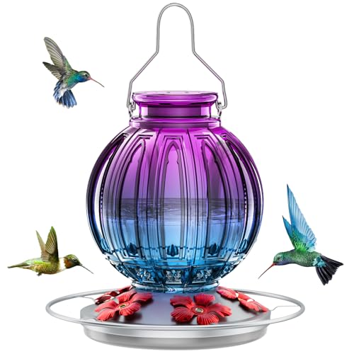 Glass Hummingbird Feeder for Outdoors Hanging, 26Oz Bird Nectar Feeder with Perch & 5 Flower Feeding Ports, Leak Proof for Outside Garden Decor Backyard, Gifts for Women Mom, Purple Blue