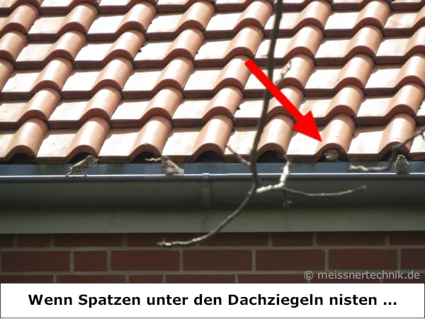 MEISSNER 50x Spatzenbürsten Ø 9cm Marderschutz, Nistschutz, Vogelabwehr, Spatzenabwehr