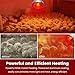 DaToo Infrared Heat Lamp Bulb for Chickens Red Heat Lamp Flood Light Heat Lamp Bulb 150 W Heating Bulbs for Brooder Coops Pets Chicks Reptiles Food Service (1 Pack)