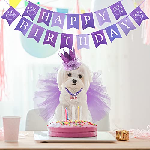 Disfraz cumpleaños perro 4 piezas tutu corona collar miniatura 4