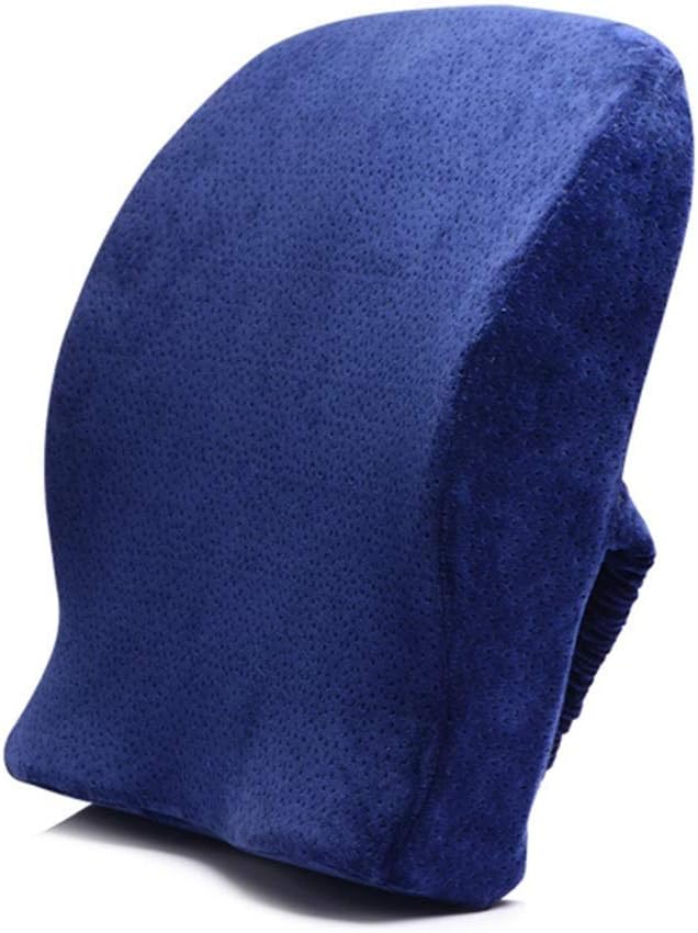 Lumbar Pillow - Ventilated Charcoal Infused Memory Foam Lumbar Pillow for Home/Office Chairs Driver Car Seat Back Support(Blue)