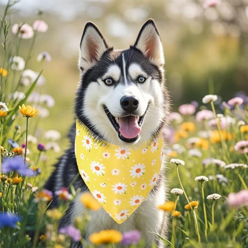 3Pcs Spring Summer Dog Bandanas Reversible Dog Holiday Scarf Adjustable Triangle Pet Bandanas for Medium Large Puppy Pet Decorations - Image 6