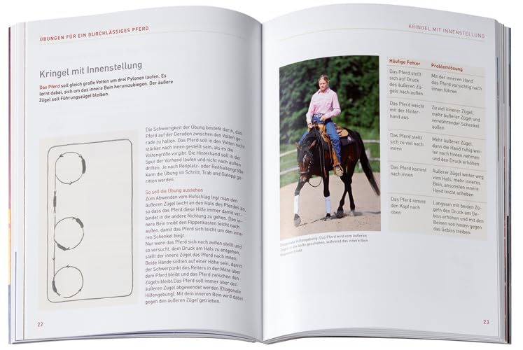 Die besten Übungen Westernreiten