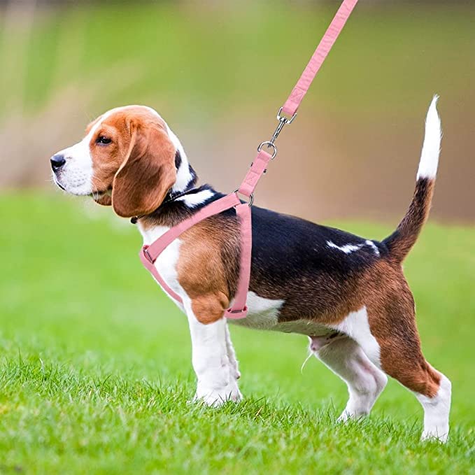 RvPaws Puppy 15 MM Nylon Adjustable Leash with 0.5 Inch Harness Set for Small & Medium Dogs - Pink (B0BN68VYY9) Amazon Price History, Amazon Price Tracker