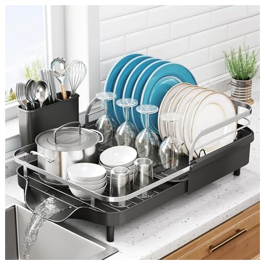 Dish Drying Rack, Expandable Dish Rack for Kitchen Counter, Stainless Steel Dish Drainer with Drainboard Set and Utensil Holder (Black)