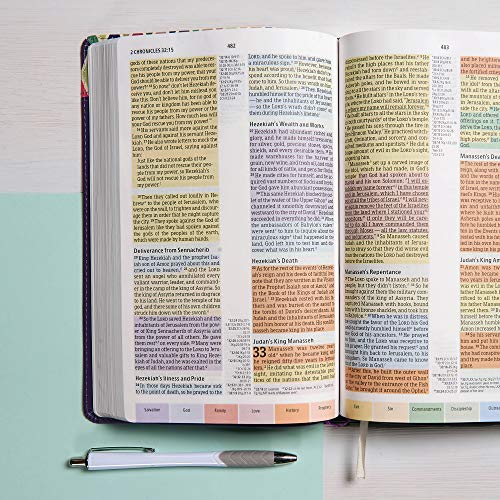 Image of CSB Rainbow Study Bible, Purple Leather Touch