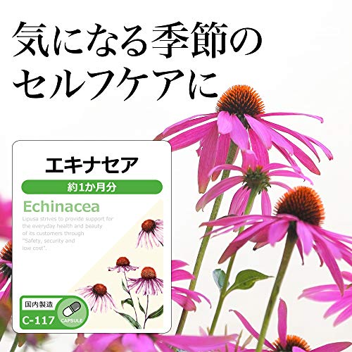 リプサ エキナセア C-117-2