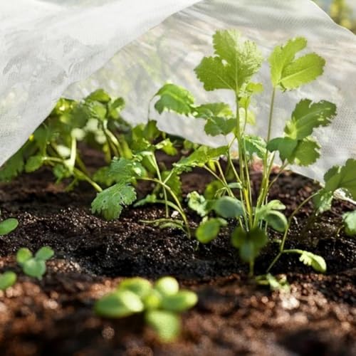 Bâche de protection pour plantes en tissu non tissé résistant au froid avec stabilisation pour l'hiver pour la protection contre le gel et les intempéries, indéchirable et respirant pour une