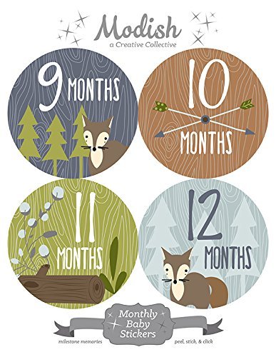 12 Monthly Baby Stickers, Fox, Woodland, Boy, Baby Month Stickers, Baby Book Keepsake #TOP7