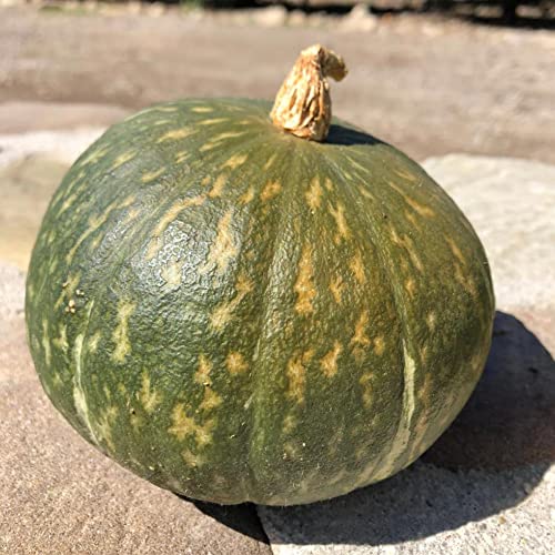 How long to cook kabocha squash Metro Cooking Dallas