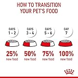 ROYAL CANIN Dental Care | Doppelpack | 2 x 400 g | Trockenfutter für ausgewachsene Katzen | Zur Unterstützung der Gesundheit und Maulhygiene | Mit einem Zahnpflege-Aktivnährstoff