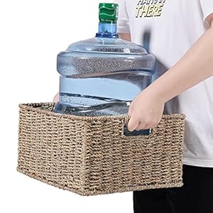 Hoonex large wicker baskets for storage seagrass baskets with dual handles woven baskets for storage set of 2 natural  urban country home decor