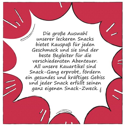 SnackOMio – Premium Hundesnack – zarte Hühnerbrust Filetstreifen, getreidefrei, 2er Pack (1 x 500g)