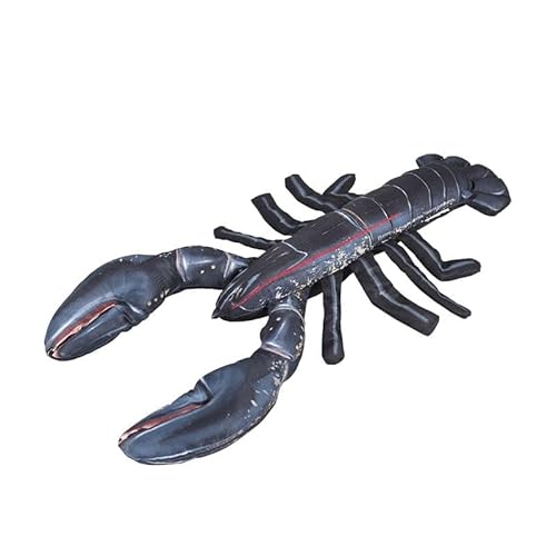 _g(Dulton) tBbV[Y [sA uX^[ 45 炵Ɋ鋛̃NbV 傫  Cm k Hummer/European lobster/Homarus gammarus FISHES S45cm Y-0514