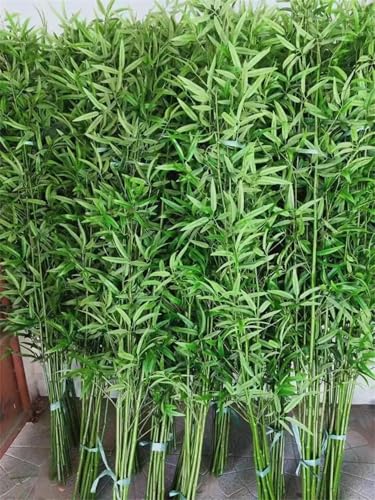 varayumi 20{̒| |   ϗtA |_ ډB 160cmA180cmA200cm | ̖_Ǝ}͖{ ̗t͋Uł (160CM) [sAi]