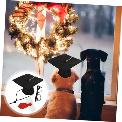 POPETPOP 2 sets disfraz graduación para perros y gatos miniatura 3
