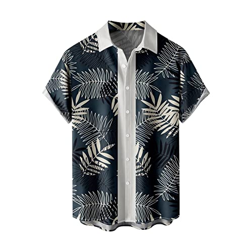 [Dafanet] |Vc  z UVJbg h~ |CgS N[lbN Vv X|[c  W g[jO Y AnVcY ʋC  y [Yvg ănCVc 썑 pCibv }