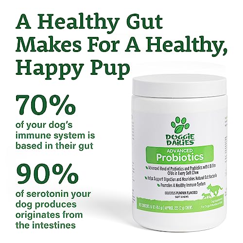 Doggie Dailies Probiotics for Dogs, 225 Soft Chews, Advanced Dog Probiotics with Prebiotics, Promotes Digestive Health, Supports Immune System and Overall Health (Pumpkin)