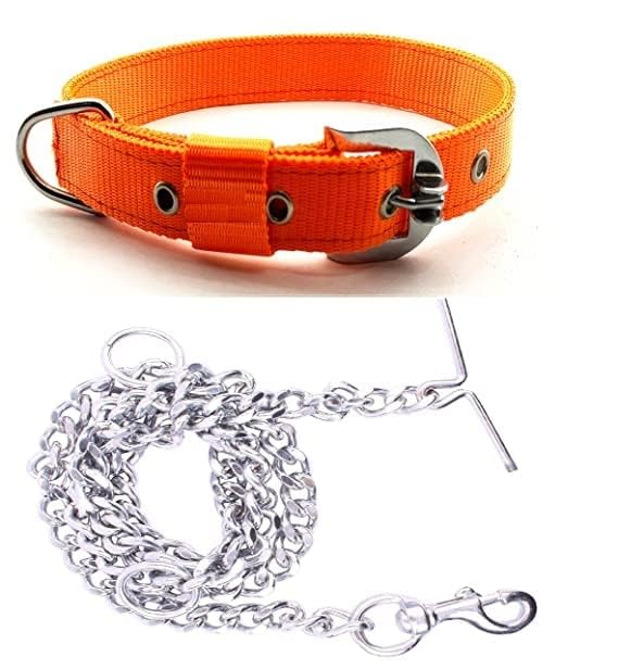 D&C PAWS Dog Belt Combo of 1 inch Nylon Collar with Heavy Dog Chain 63 Inch Lengthy Dog Collar Chain (1 Inch, Orange) (B0C96MKWYL) Amazon Price History, Amazon Price Tracker