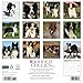 Border Collies 2026 12