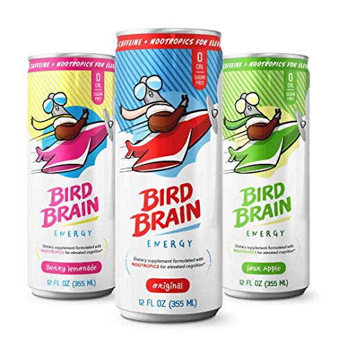 Bird Brain Nootropic Energy Drink - Boost Brain Function and Focus - Vitamins B12 and B6, L-Theanine, and Alpha GPC - Zero Calories, Artificial Sweeteners or Preservatives (Variety, 12-Pack)