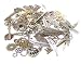 BIHRTC 235 Gram (Approx 135pcs) DIY Mixed Color Metal Skeleton Keys Wings Steampunk Watch Gear Cog Wheel Charms Pendant for DIY Crafts, Jewelry Making Accessory