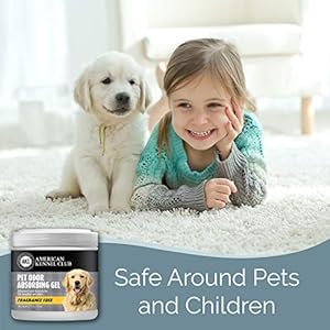 SMELLS BEGONE Pet Odor Absorber Gel – Air Freshener & Odor Eliminator – Formulated for The Toughest Pet Odors – Fragrance Free – 15 Ounce – 2 Pack