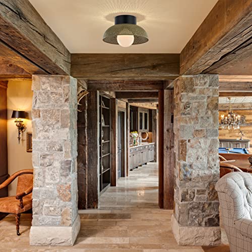 Tehenoo Contemporary Flush Mount Ceiling Light,Dome Metal Shade With Perforated Pattern,Green Ceiling Light Fixture For Kitchen,Hallway,Living Room #TOP1