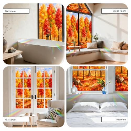 Image of Nuxovilar Fall Window Cling 17.7 x 39.4 in, White Frosted Maple Forest | White frosted PVC helps obscure views for privacy, with red, orange and golden maple trees in a colorful autumn woodland