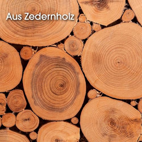 Embauchoir en bois de cèdre et tendeur de forme naturel pour la protection du cuir