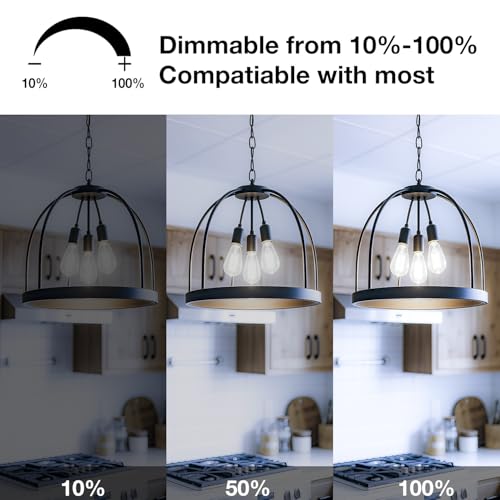 DAYBETTER Vintage LED Edison Bulbs, E26 Led Bulb 60W Equivalent, Dimmable Led Light Bulbs, High Brightness 6W 800 LM Daylight White 5000K, ST58 Antique LED Filament Bulbs, Clear Glass, 6 Pack — view 3