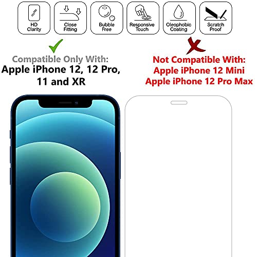 Image of DPJ Borderless Tempered Glass Screen Protector for iPhone 11 & iPhone XR With Edge to Edge Full Screen Coverage (Glossy) [Transparent] [Pack of 1]