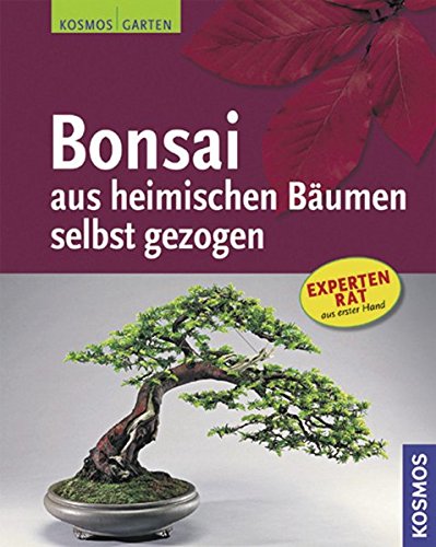 Bonsai aus heimischen Bäumen selbst gezogen Bonsai aus heimischen Bäumen selbst gezogen