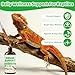 Herbal Supplement for Reptiles – Immune, Respiratory, Appetite & Digestion Support – For Bearded Dragon, Ball Python, Iguana & Tortoise – Alcohol-Free Liquid Drops with Black Seed Oil – 2 fl oz