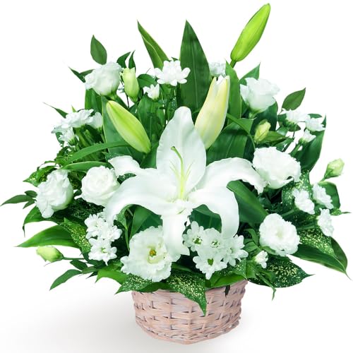 お供え・お悔やみの献花 花キューピット 仏花 供花 法要 法事 仏事 弔事 枕花 お盆 お彼岸 初盆新盆 四十九日 一周忌 お供えのアレンジメント yr00-512779