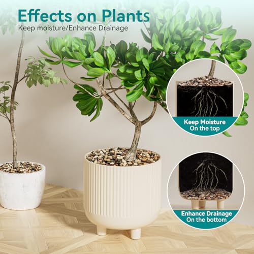 Image of 2.5 lbs Pebbles for Indoor Plants, Vase, Succulent, 3 /8 inch Gravel for Plants, Pots Indoor, Bamboo Rocks for Bamboo Plants, Decorative Small River Rock, Highly Polished