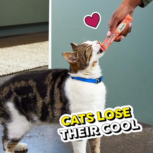 Temptations Creamy Puree With Beef Liver, Salmon, Chicken, And Tuna Squeezable Lickable Wet Cat Treat Variety Pack thumb #8
