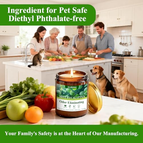 Image of Mint Eucalyptus Odor Eliminating Candles | Eliminates 95% of Pet, Smoke, Food, and Other Smells Quickly - 7 oz Soy Candle for Home Scented - Air Freshing Scented Candles Gifts for Women Men