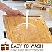 2XLarge Cutting Board, 20