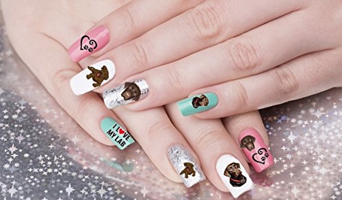 Chocolate Retriever Dog Collection (Chocolate Labrador Retriever Nail Art Decals)