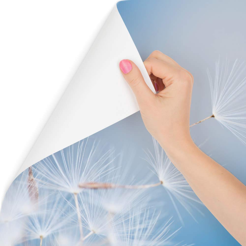 Muralo Carta da Parati 3D, Soffione, Natura - 315x210 cm | Rivestimento murale decorativo disponibile in tessuto non tessuto o autoadesivo, stampa nitida, posa facile, arredo moderno