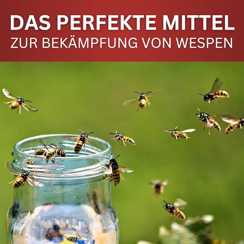 BIODELTA Wespenspray - Wespen effektiv bekämpfen - Anti-Wespen-Spray für schnellen Schutz - Wespenschutz für Garten, Terrasse & Grillen - fleckenfrei (500, ml)