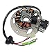 SHUmandala Magneto Stator Replace for Polaris Scrambler 50 90 2001-2003/Sportsman 90 2001-2006/Predator 50 90 2003-2006 0450523 0451000 0450522 0450998/ETON 50 90 RXL-50 RXL-90 AXL/DXL/NXL/TXL 650234