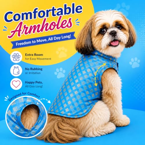 Image of Payton PERYY Dog Sherwani Kurta Dress Outfit Perfect for Diwali, Weddings and Special Events (Customized Size, Blue)