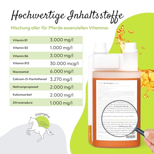 PHA Vitamin B Komplex Liquid für Pferde, gegen Stress, für Nerven, Haut, Fell, Hufe, bei B-Vitamine Mangel, zur Unterstützung der Regeneration, 1L